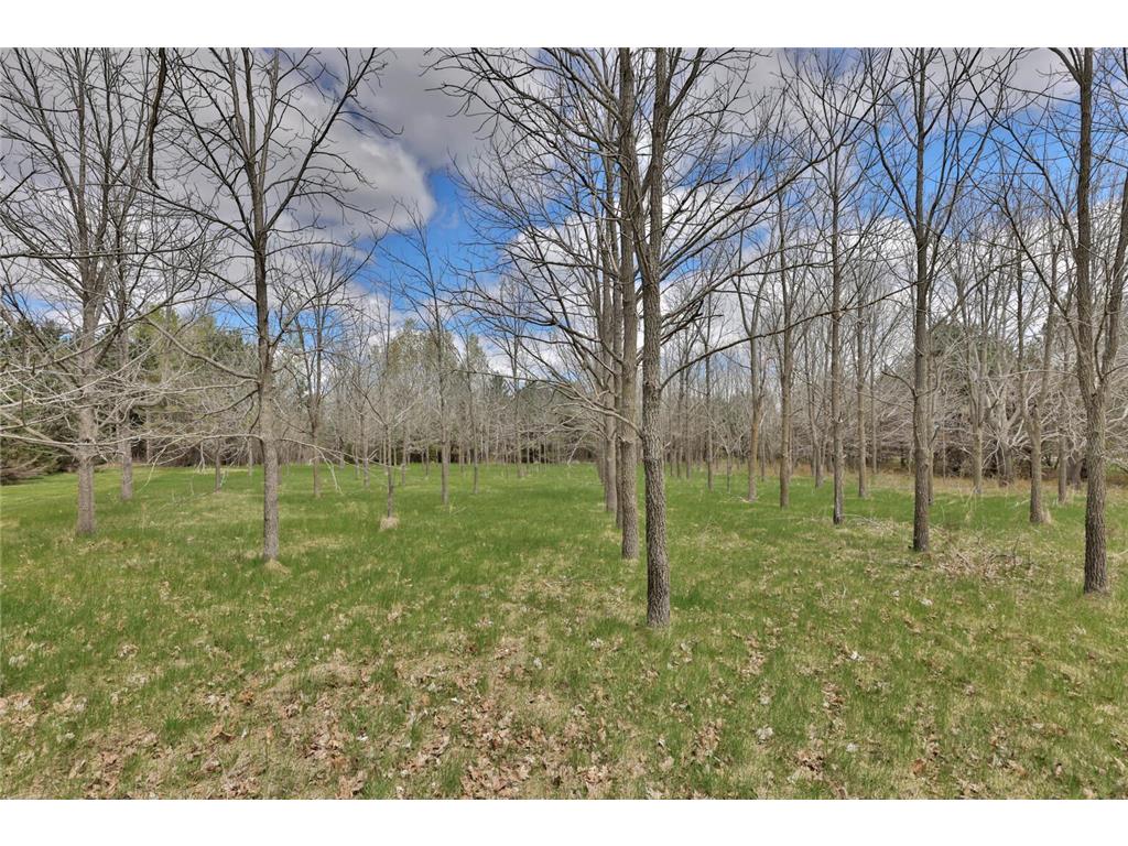 26807 James Avenue Chisago City MN 55013 7059505 image24