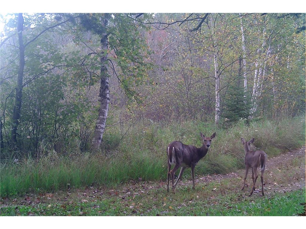 26810 N Hart Lake Road Pengilly MN 55775 - Hart 6826815 image23