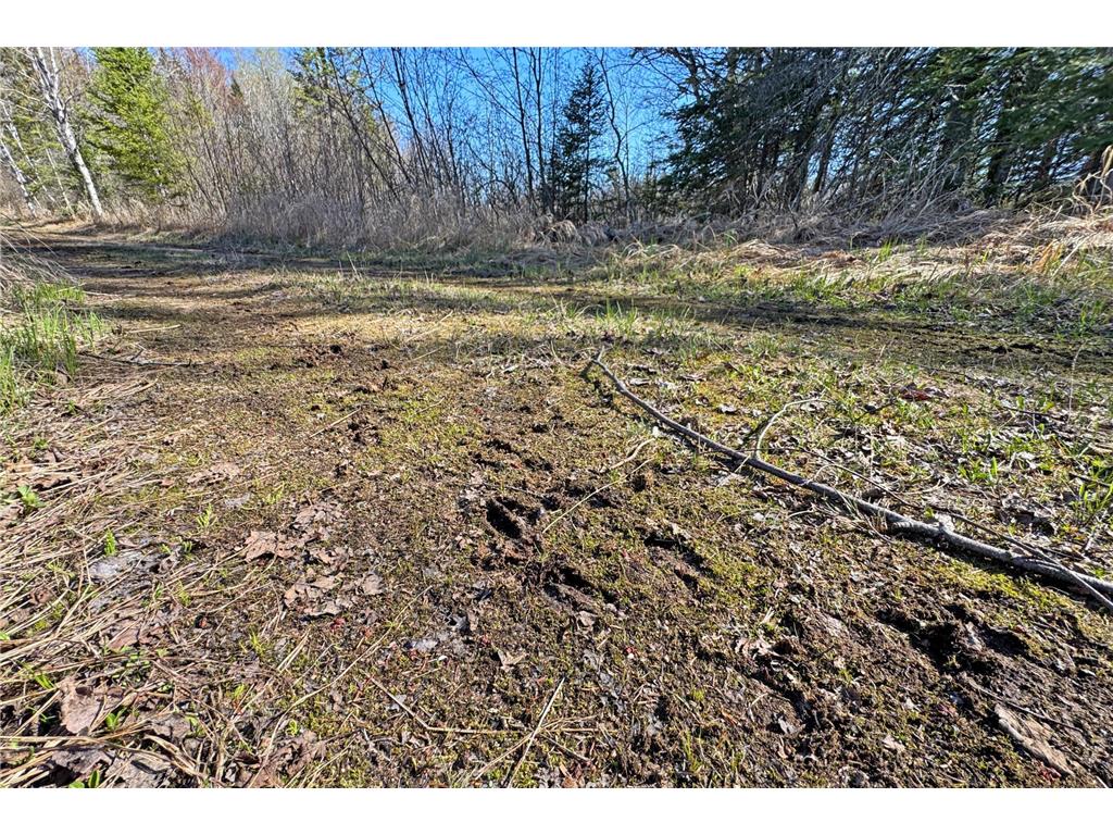 26810 N Hart Lake Road Pengilly MN 55775 - Hart 6826815 image36