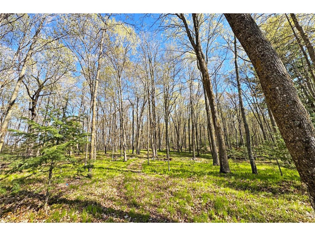 26810 N Hart Lake Road Pengilly MN 55775 - Hart 6826815 image54