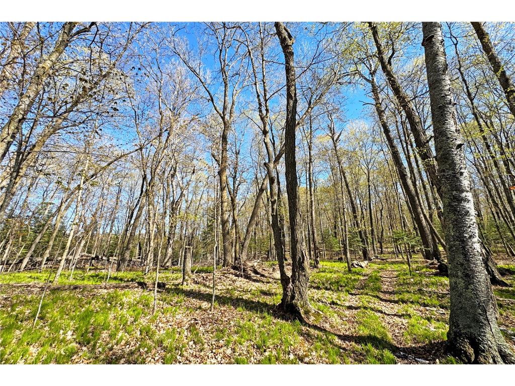 26810 N Hart Lake Road Pengilly MN 55775 - Hart 6826815 image55