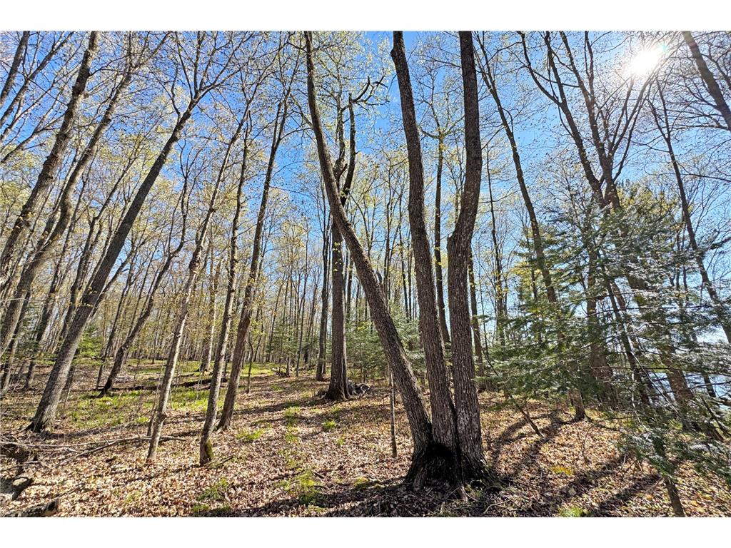 26810 N Hart Lake Road Pengilly MN 55775 - Hart 6826815 image56