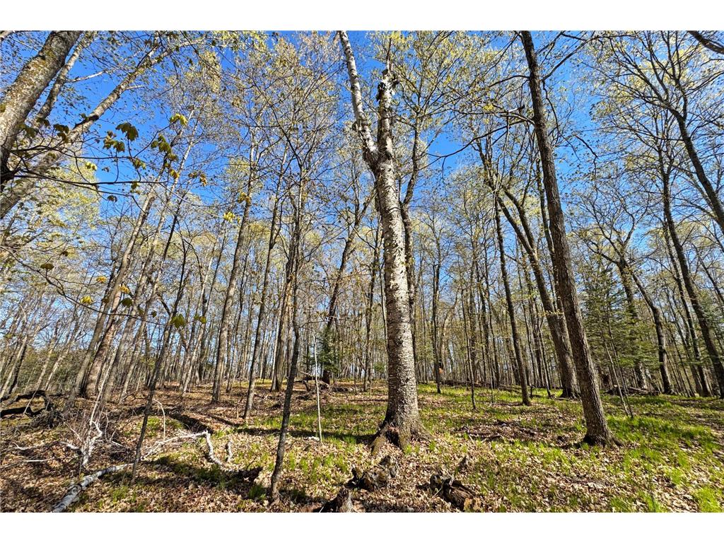 26810 N Hart Lake Road Pengilly MN 55775 - Hart 6826815 image57