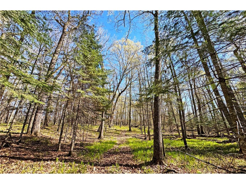 26810 N Hart Lake Road Pengilly MN 55775 - Hart 6826815 image58