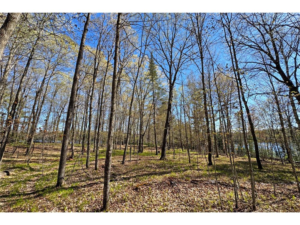 26810 N Hart Lake Road Pengilly MN 55775 - Hart 6826815 image59