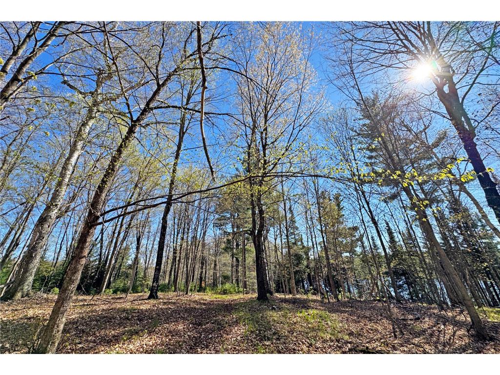 26810 N Hart Lake Road Pengilly MN 55775 - Hart 6826815 image60