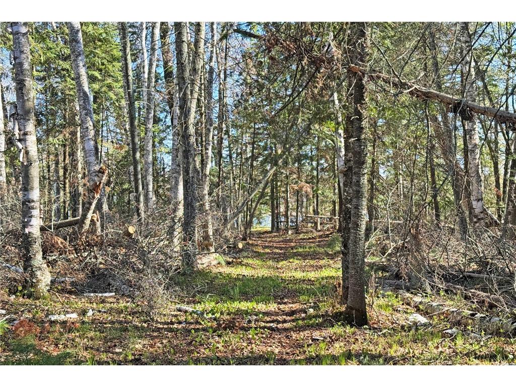 26810 N Hart Lake Road Pengilly MN 55775 - Hart 6826815 image62