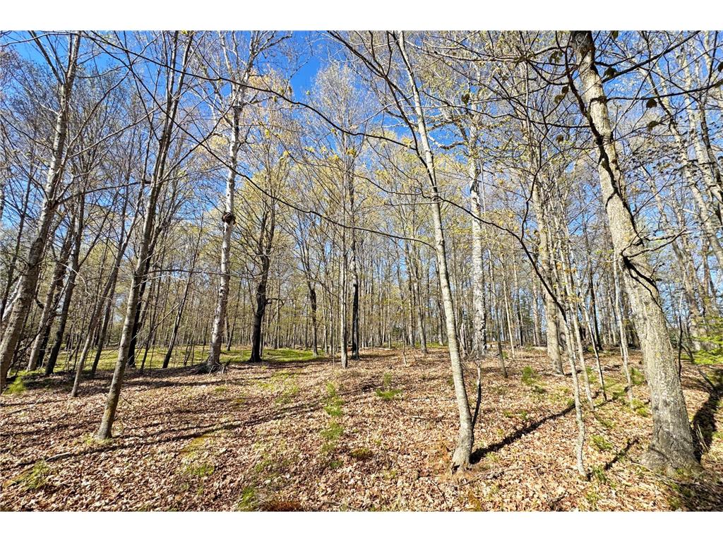 26810 N Hart Lake Road Pengilly MN 55775 - Hart 6826815 image65
