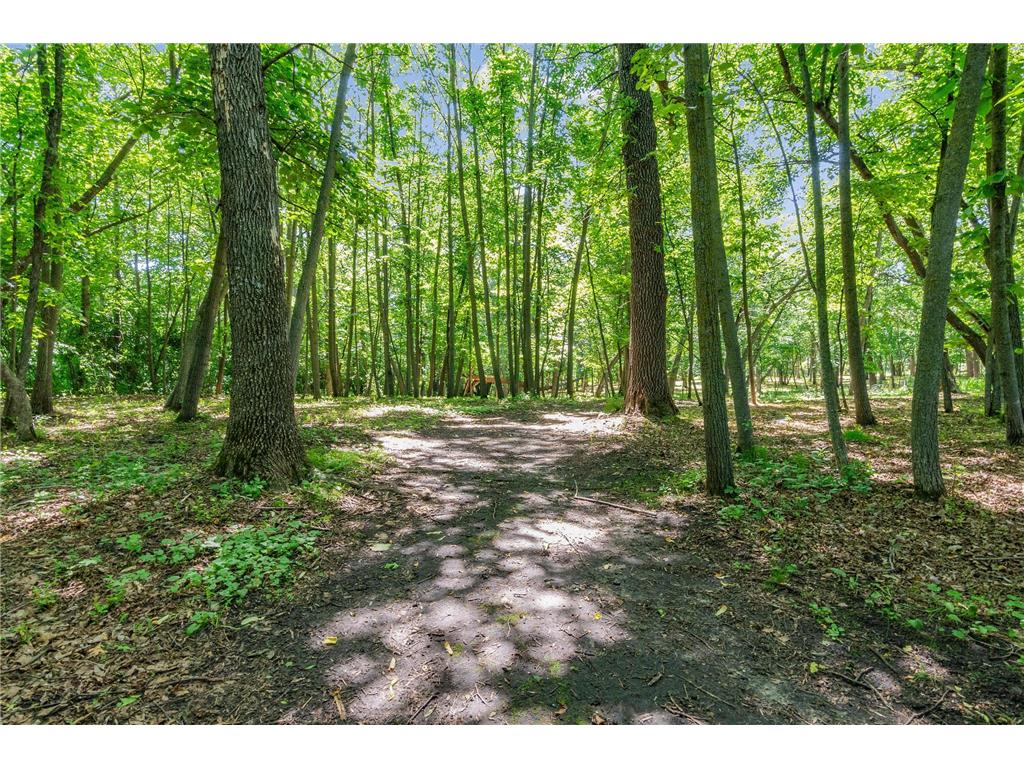 2684 Cherry Lane Court NE Alexandria MN 56308 - Le Homme Dieu 7023527 image10