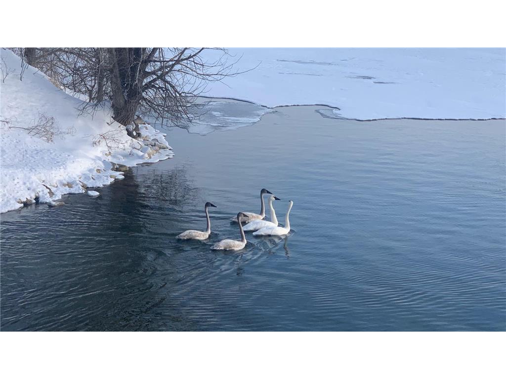 2684 Cherry Lane Court NE Alexandria MN 56308 - Le Homme Dieu 7023527 image30