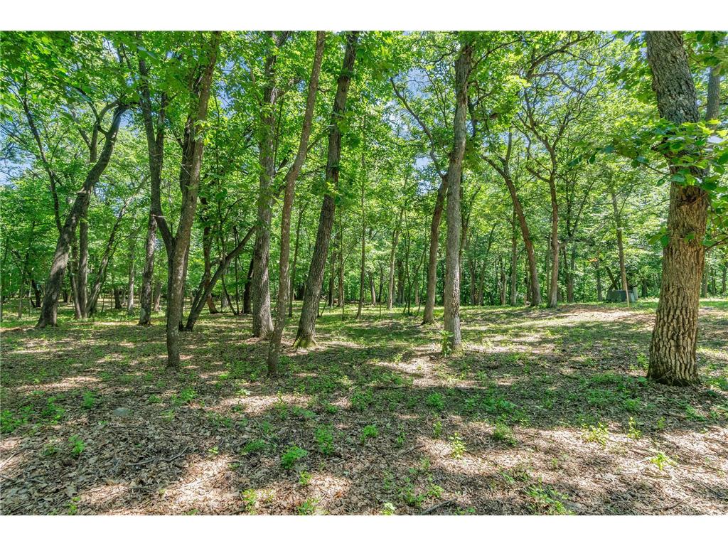 2684 Cherry Lane Court NE Alexandria MN 56308 - Le Homme Dieu 7023527 image7