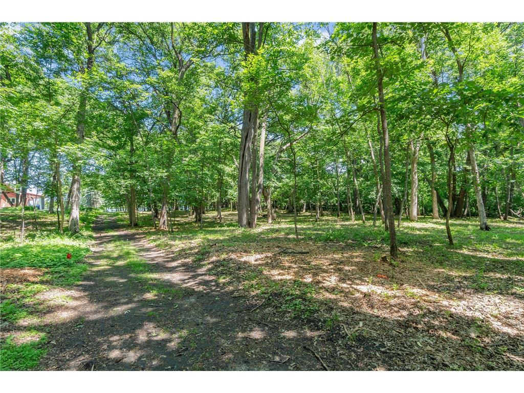 2684 Cherry Lane Court NE Alexandria MN 56308 - Le Homme Dieu 7023527 image9