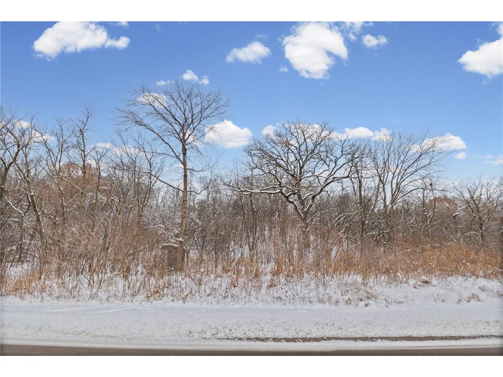 2685 Carver Avenue E Maplewood MN 55119 7046387 image10