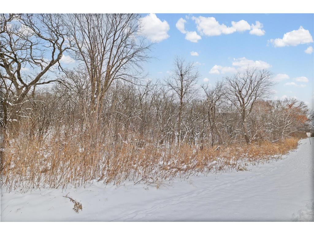 2685 Carver Avenue E Maplewood MN 55119 7046387 image11