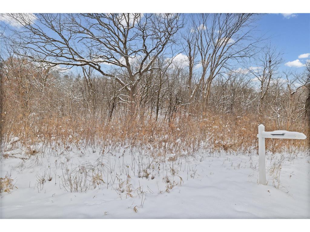 2685 Carver Avenue E Maplewood MN 55119 7046387 image12