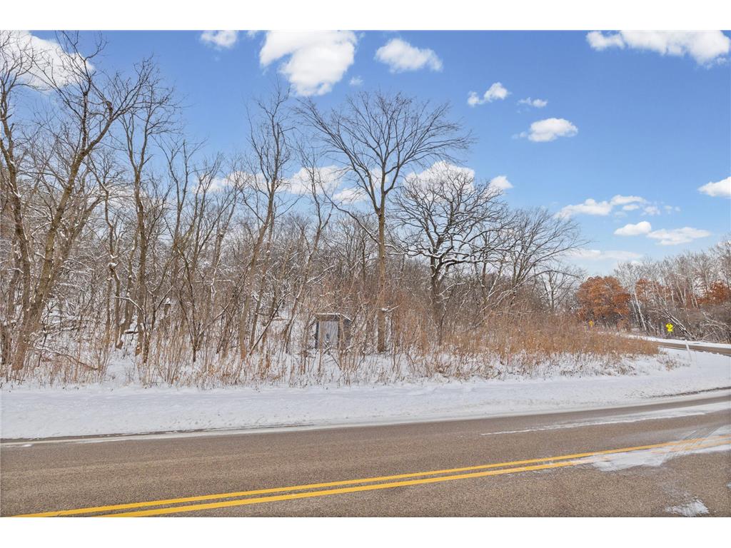 2685 Carver Avenue E Maplewood MN 55119 7046387 image13