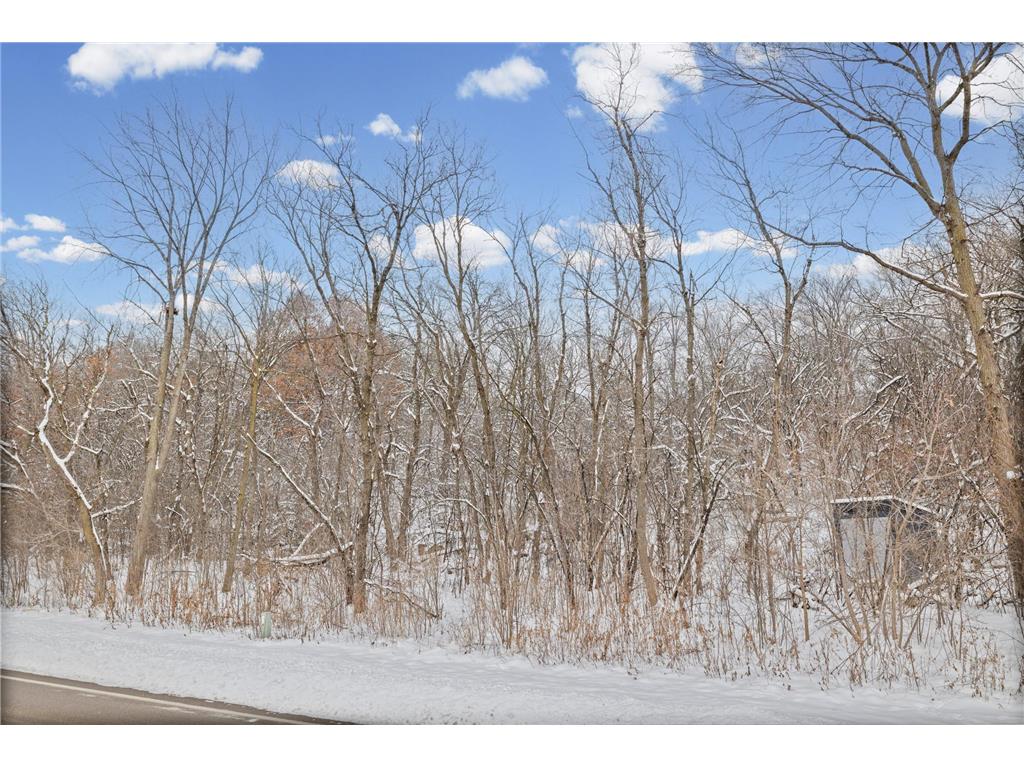 2685 Carver Avenue E Maplewood MN 55119 7046387 image17