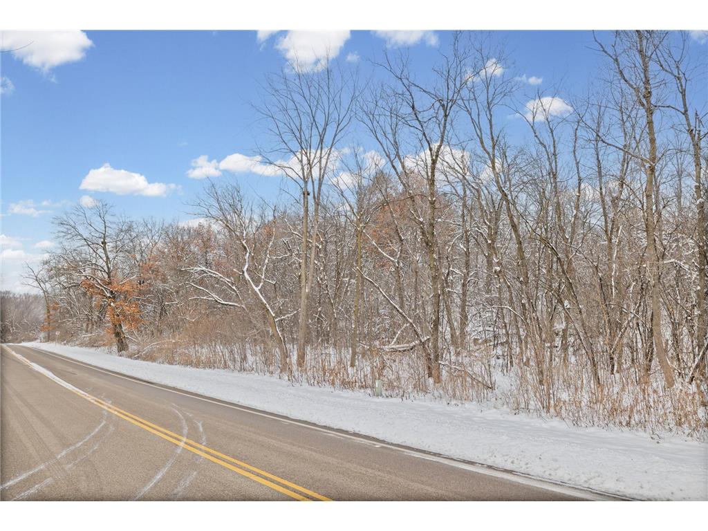 2685 Carver Avenue E Maplewood MN 55119 7046387 image18