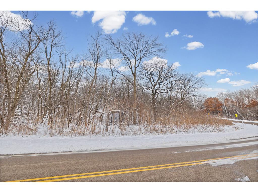 2685 Carver Avenue E Maplewood MN 55119 7105069 image10