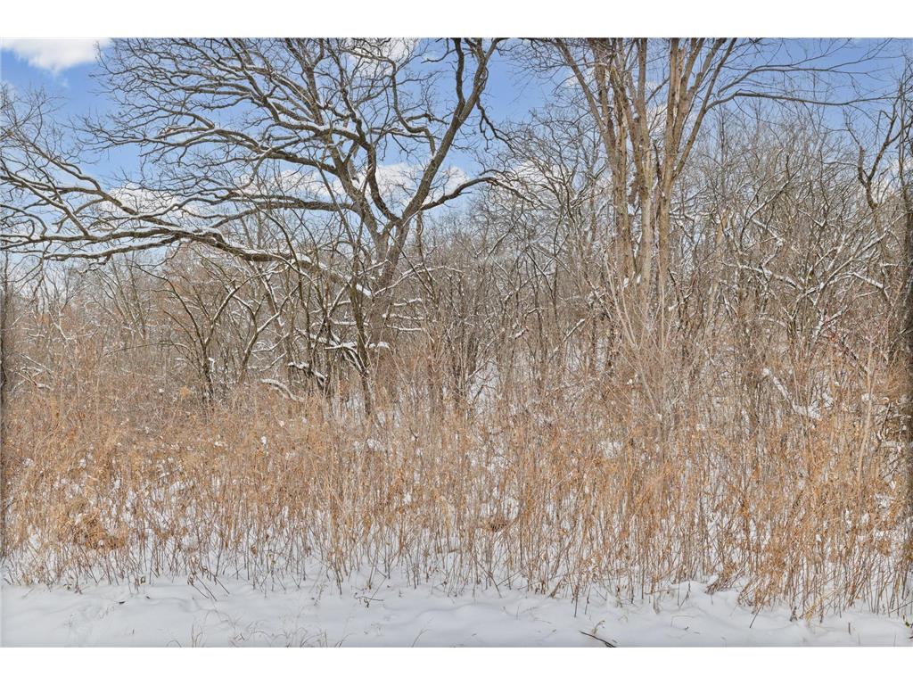 2685 Carver Avenue E Maplewood MN 55119 7105069 image14