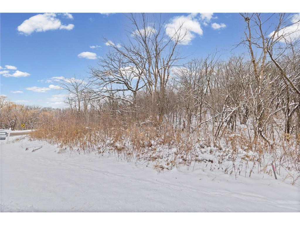 2685 Carver Avenue E Maplewood MN 55119 7105069 image16