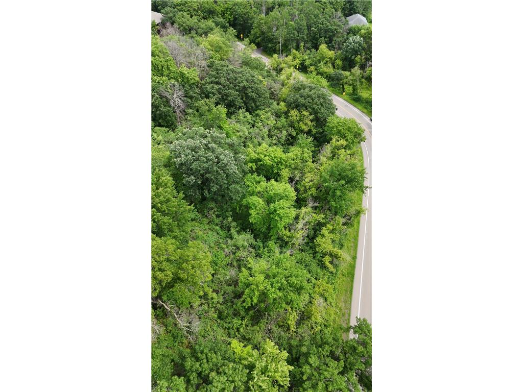 2685 Carver Avenue E Maplewood MN 55119 7105069 image6