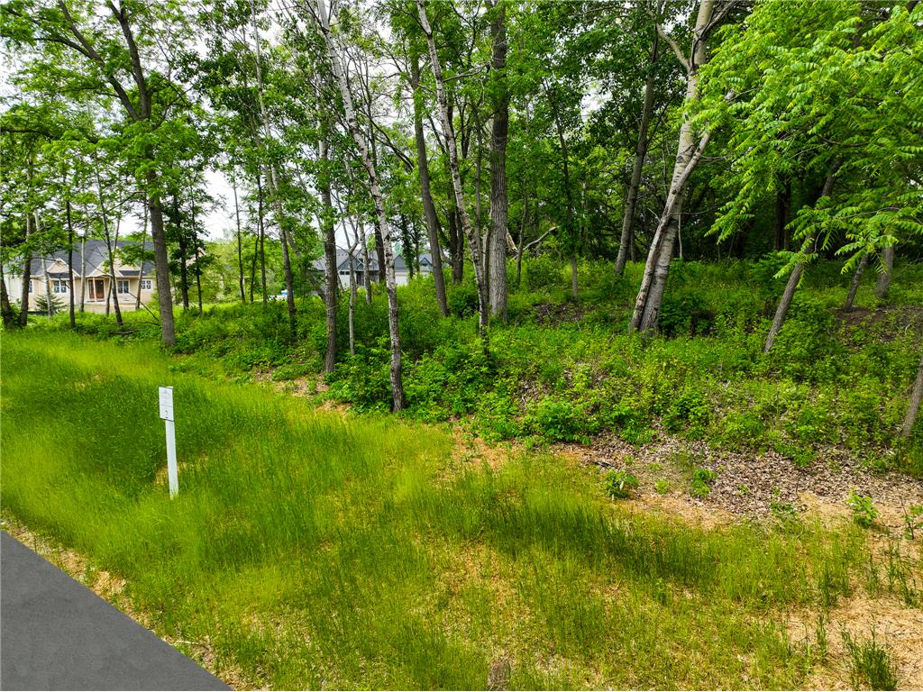 2685 Woodcliffe Trl Hastings MN 55033 6674312 image1