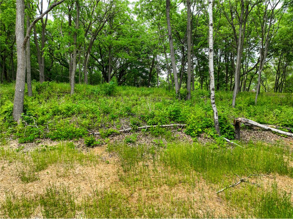 2685 Woodcliffe Trl Hastings MN 55033 6674312 image2
