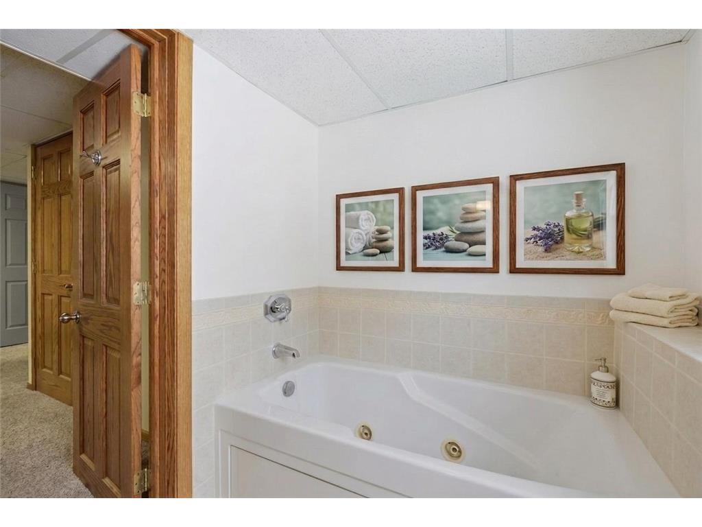 26850 Aberdeen Avenue New Prague MN 56071 7083151 image24