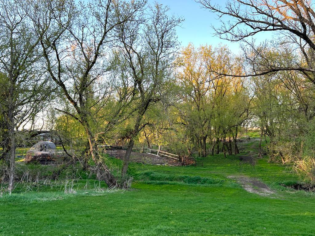 26892 670th Street Canisteo Twp MN 55944 7062814 image14