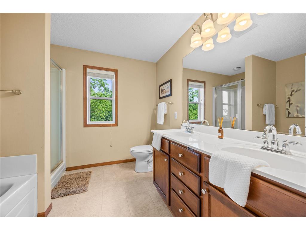 26901 Meadow Ridge Drive Elko New Market MN 55020 7101968 image18