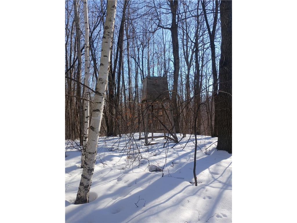 26904 Cedar ROAD Cushing MN 56443 7079667 image37