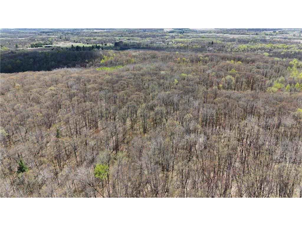 26904 Cedar ROAD Cushing MN 56443 7079667 image47