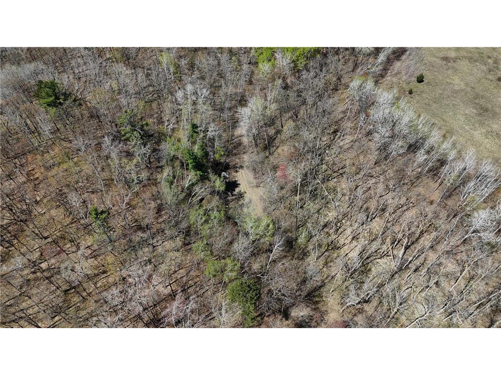 26904 Cedar ROAD Cushing MN 56443 7079667 image50