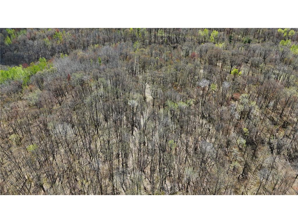 26904 Cedar ROAD Cushing MN 56443 7079667 image64