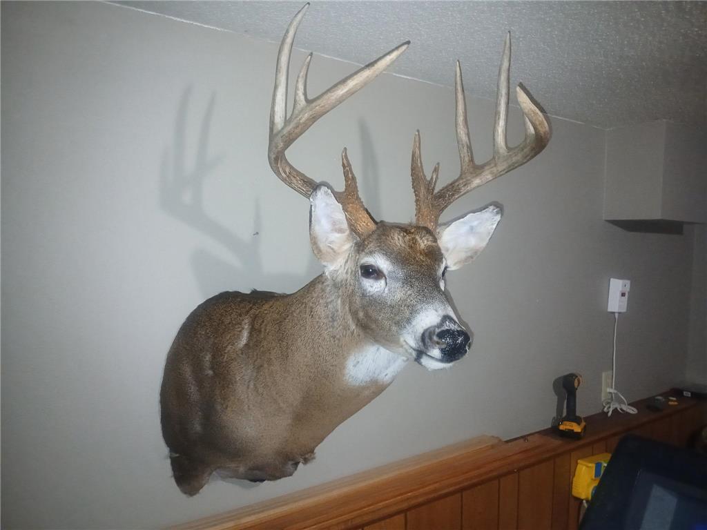 26904 Cedar Road Cushing MN 56443 7073882 image33