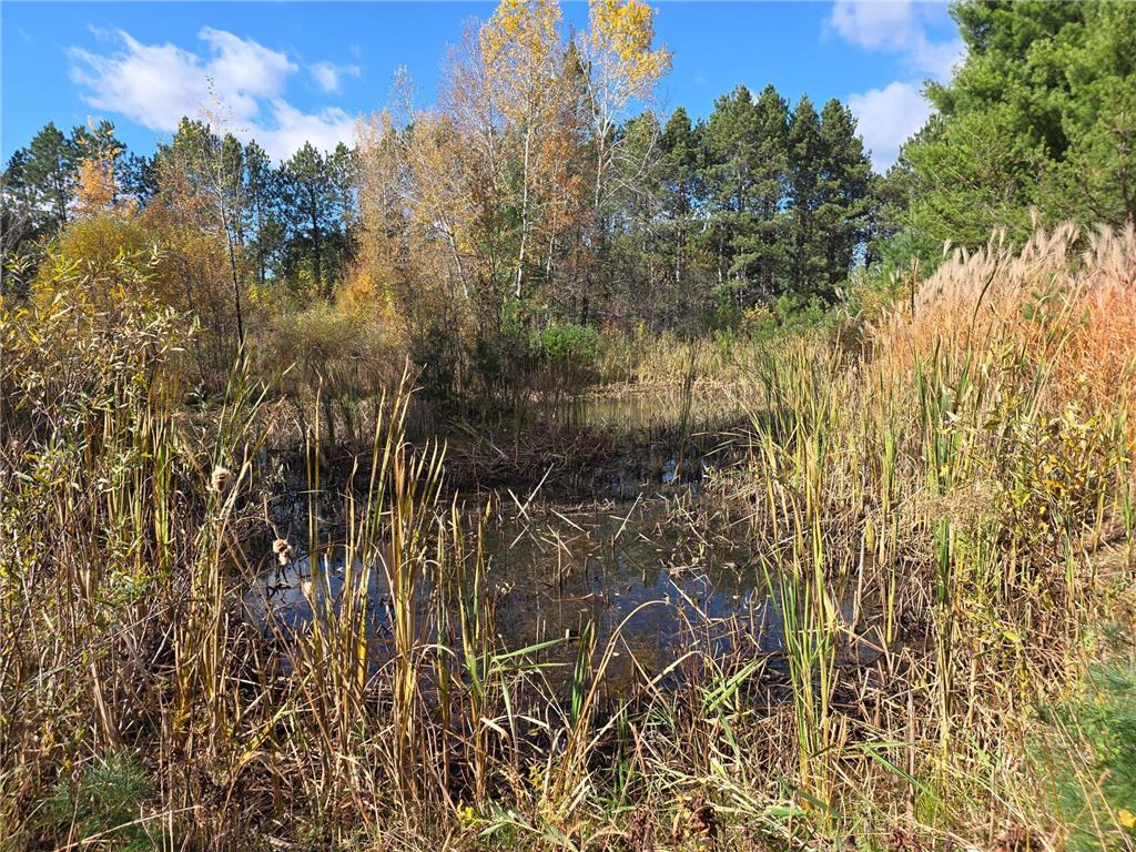 26910 S River Road Lincoln Twp WI 54893 6808507 image8