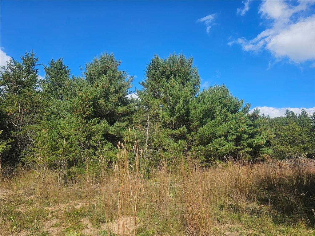 26912 Marias Way Webster WI 54893 6755644 image11