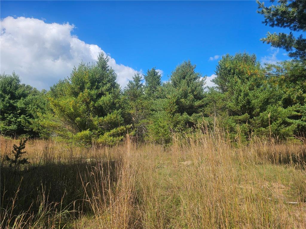 26912 Marias Way Webster WI 54893 6755644 image5