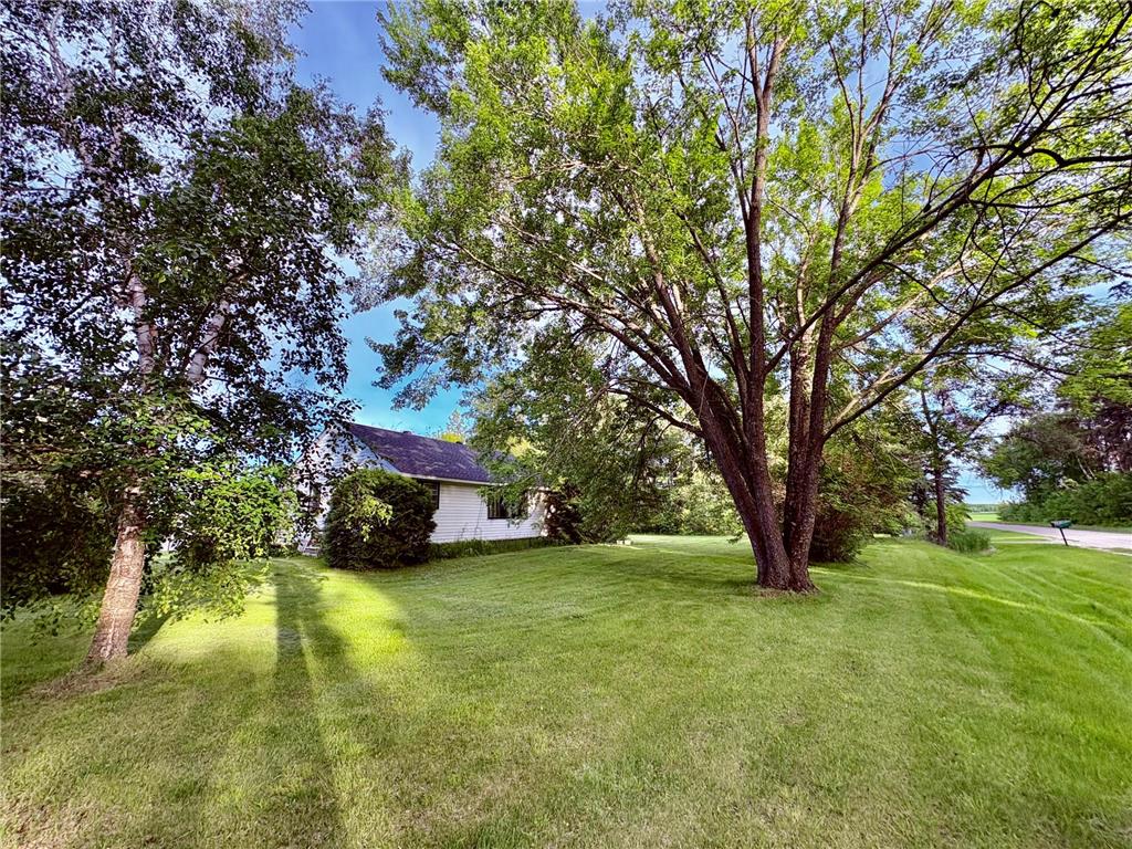 26924 600th Avenue Warroad MN 56763 7097468 image28
