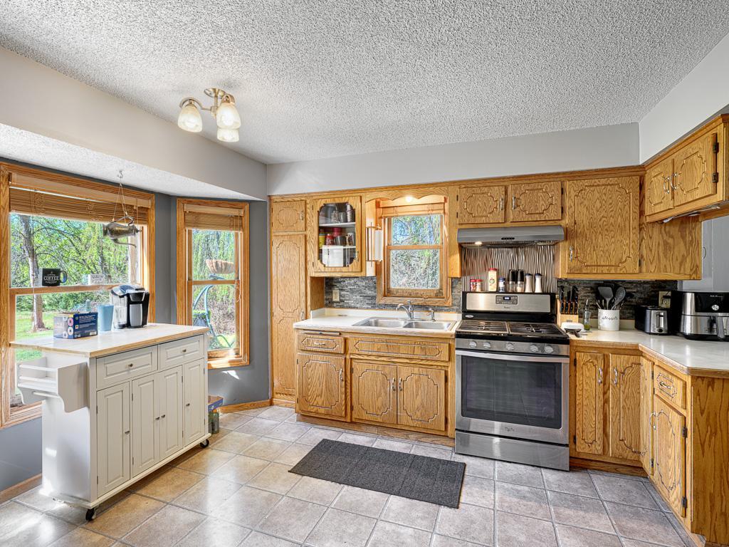 2695 196th Avenue NE East Bethel MN 55011 7074331 image3