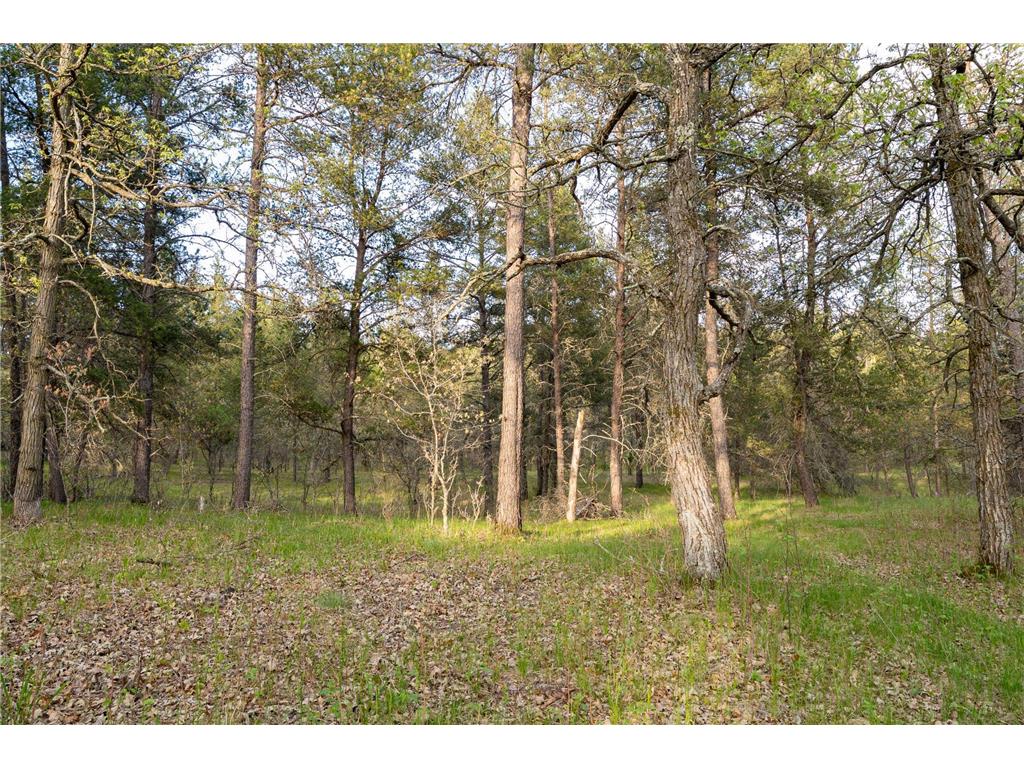 2696 275th Street Sterling Twp WI 54024 7087289 image49