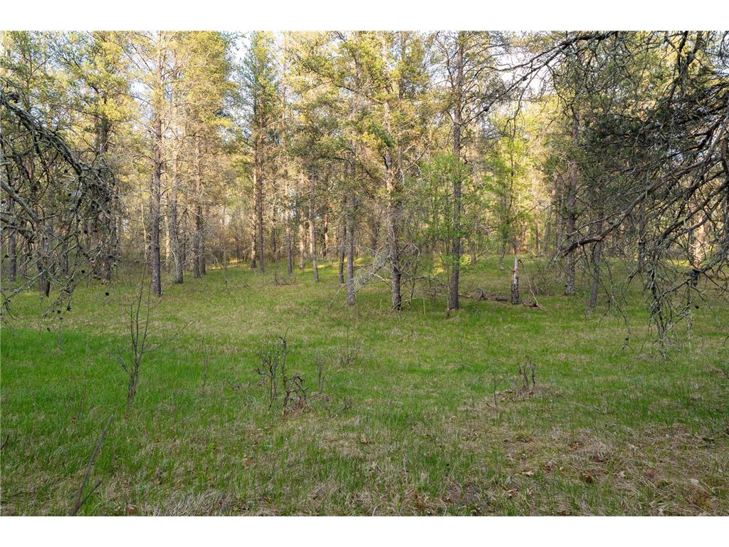 2696 275th Street Sterling Twp WI 54024 7087289 image52