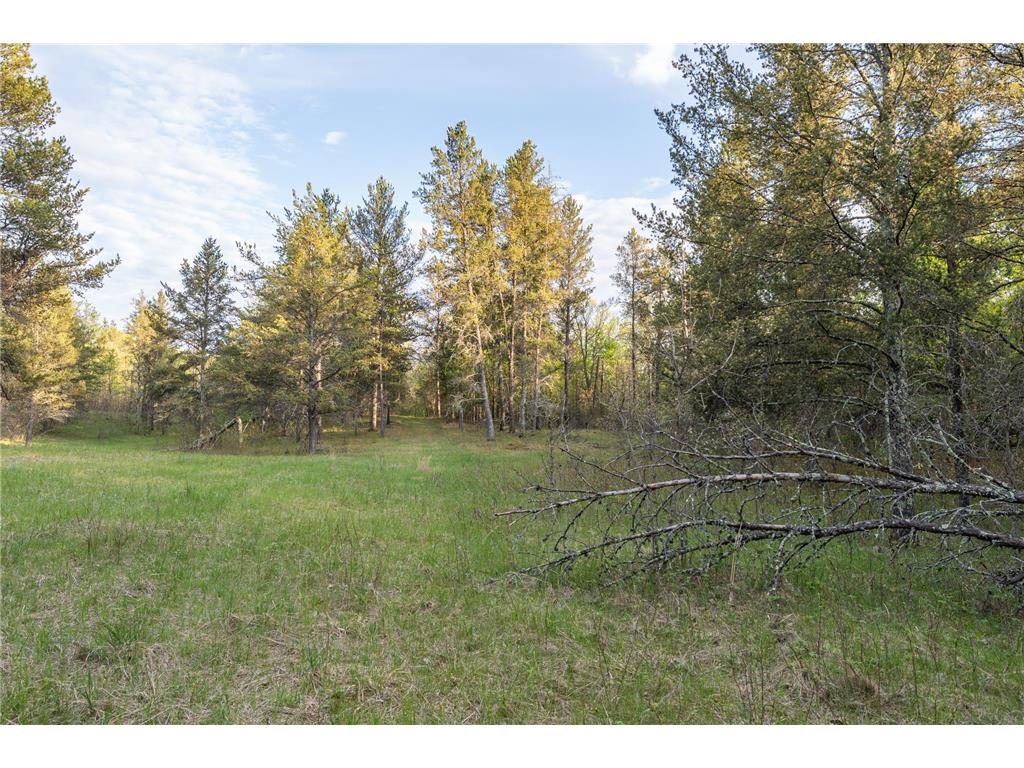 2696 275th Street Sterling Twp WI 54024 7087289 image54