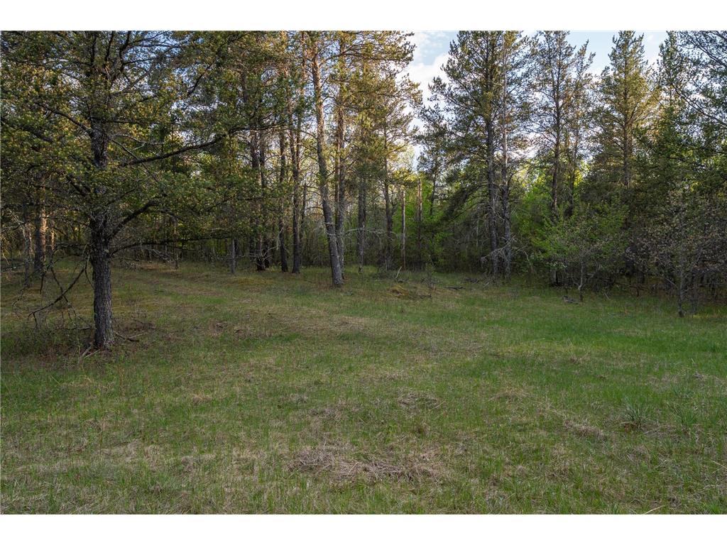 2696 275th Street Sterling Twp WI 54024 7087289 image56