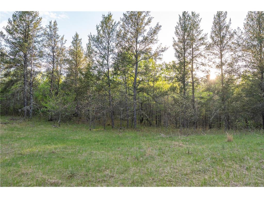 2696 275th Street Sterling Twp WI 54024 7087289 image57