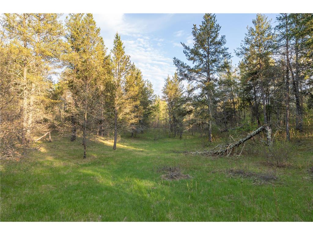 2696 275th Street Sterling Twp WI 54024 7087289 image58