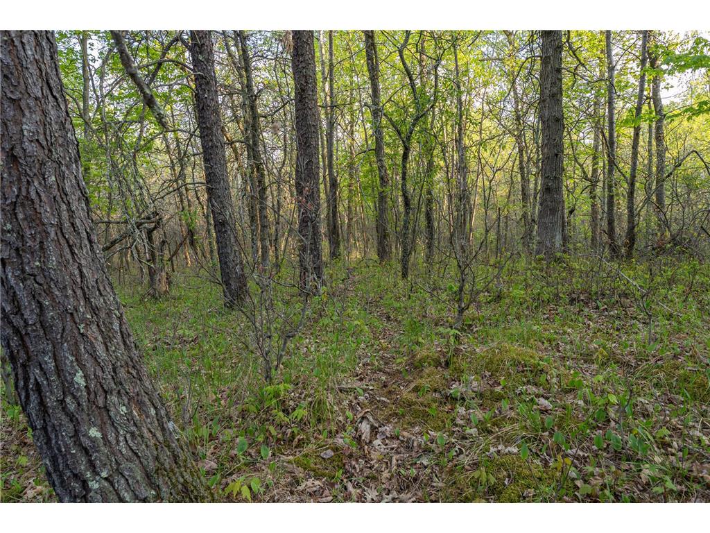 2696 275th Street Sterling Twp WI 54024 7087289 image59