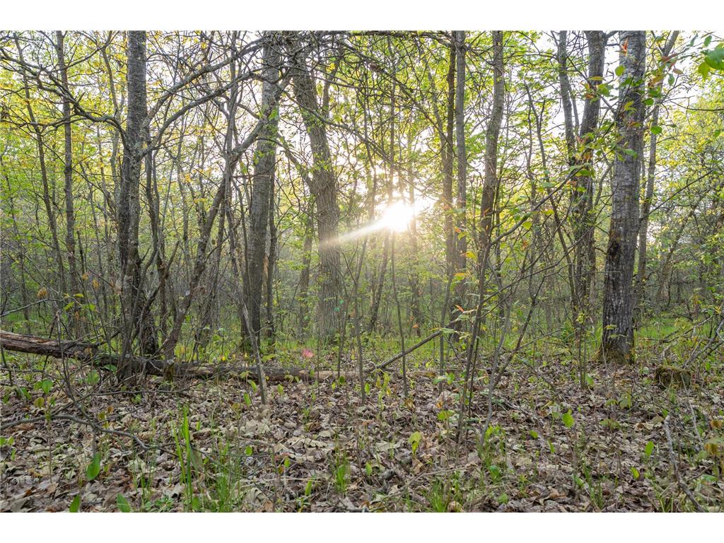 2696 275th Street Sterling Twp WI 54024 7087289 image60