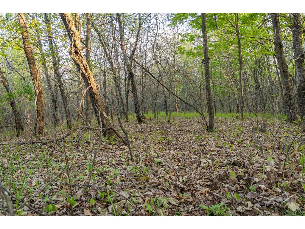 2696 275th Street Sterling Twp WI 54024 7087289 image61